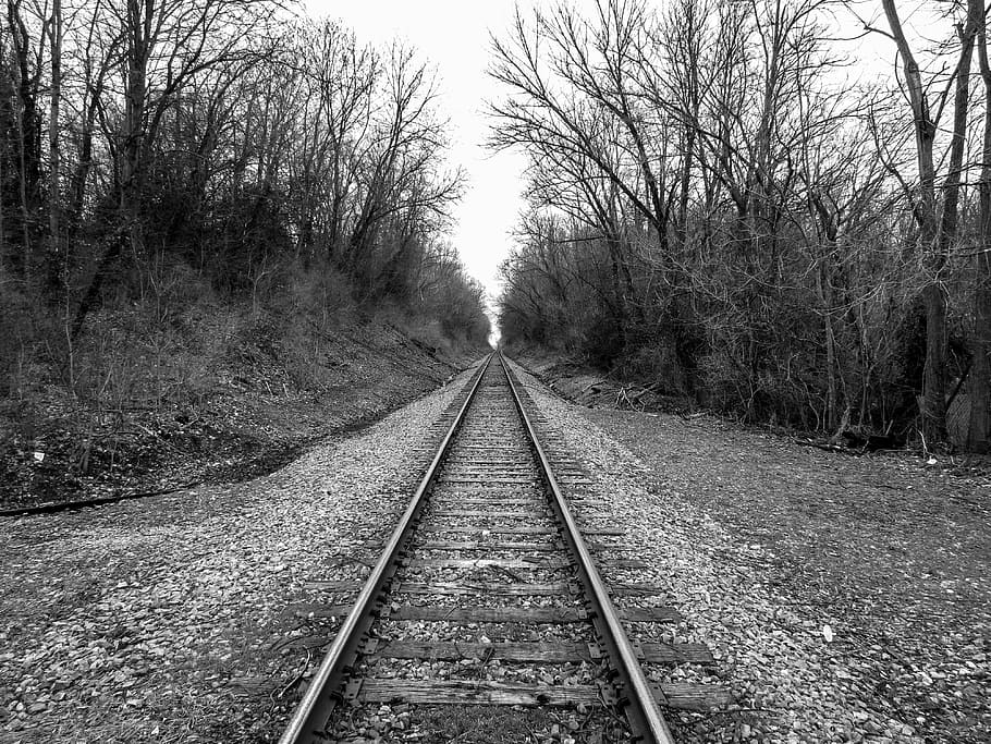 train, tracks, railroad, the way forward, direction, tree, diminishing perspective HD wallpaper