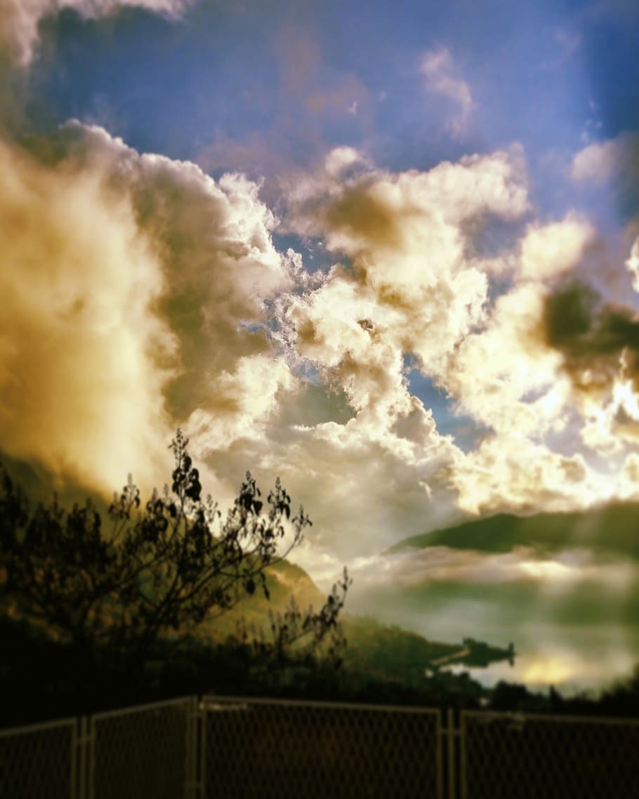 silhouette of tree under cloudy sky, drama, cloud - sky, beauty in nature HD wallpaper