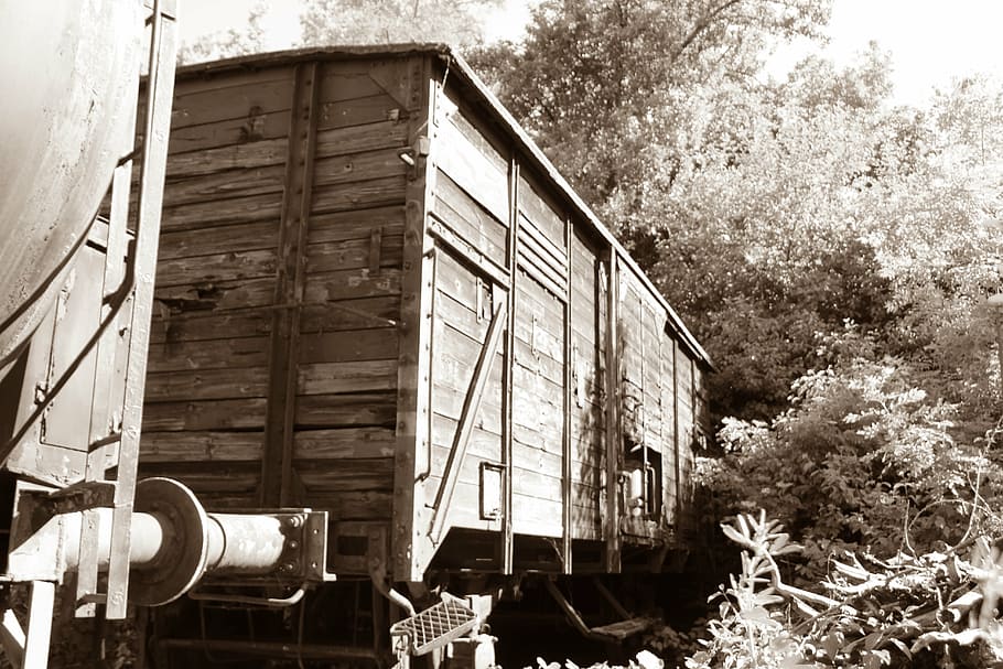 wagon, railway, goods wagons, built structure, architecture HD wallpaper
