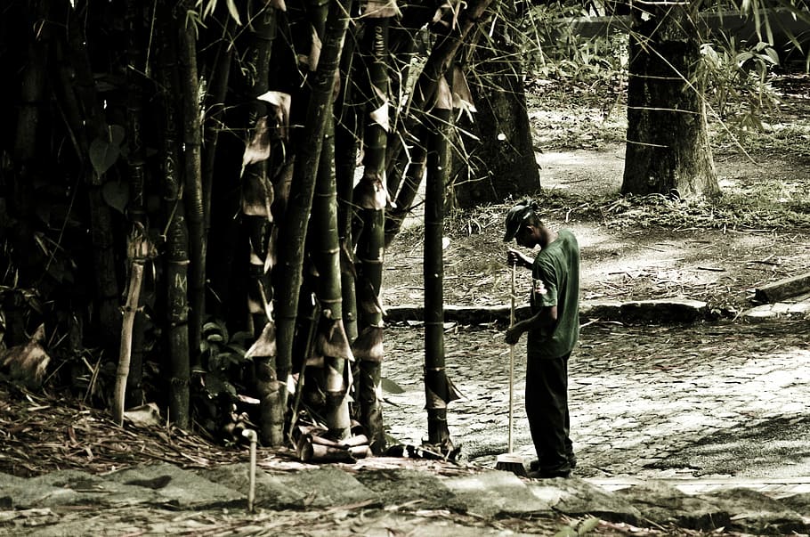 Man, Sweeping, Bamboo, one man only, one person, outdoors, people HD wallpaper