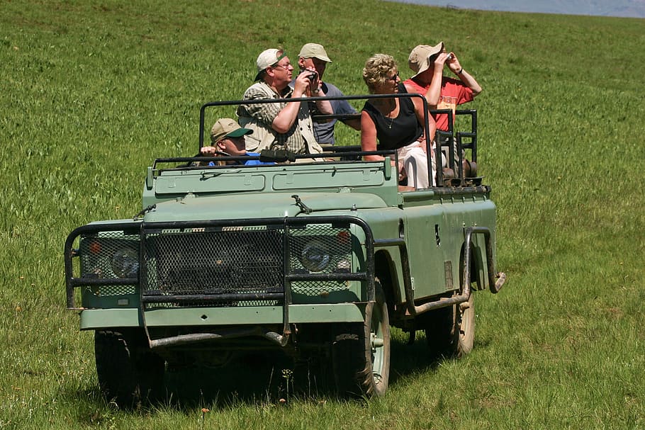 green Land Rover Defender SUV, jeep, safari, old, tourists, binoculars, HD wallpaper