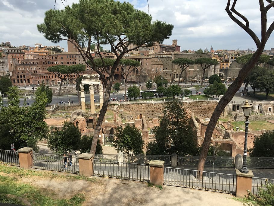 rome, italy, architecture, built structure, tree, building exterior HD wallpaper