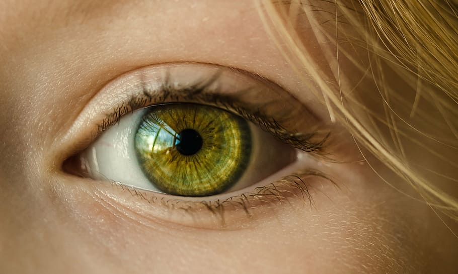 human yellow eye, green eye, close up, macro, girl, young, face