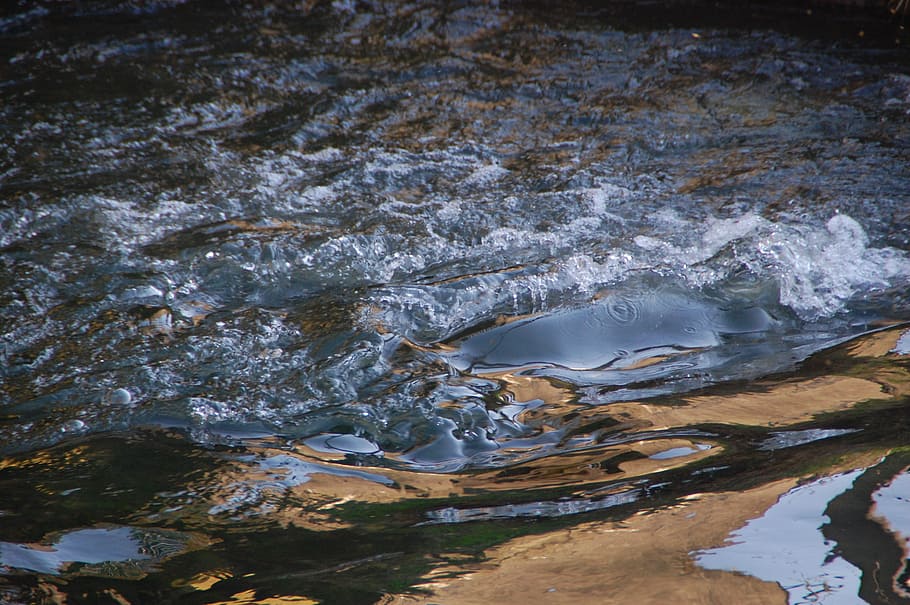 water, mehaigne, movement, river, nature, flow, beauty in nature HD wallpaper
