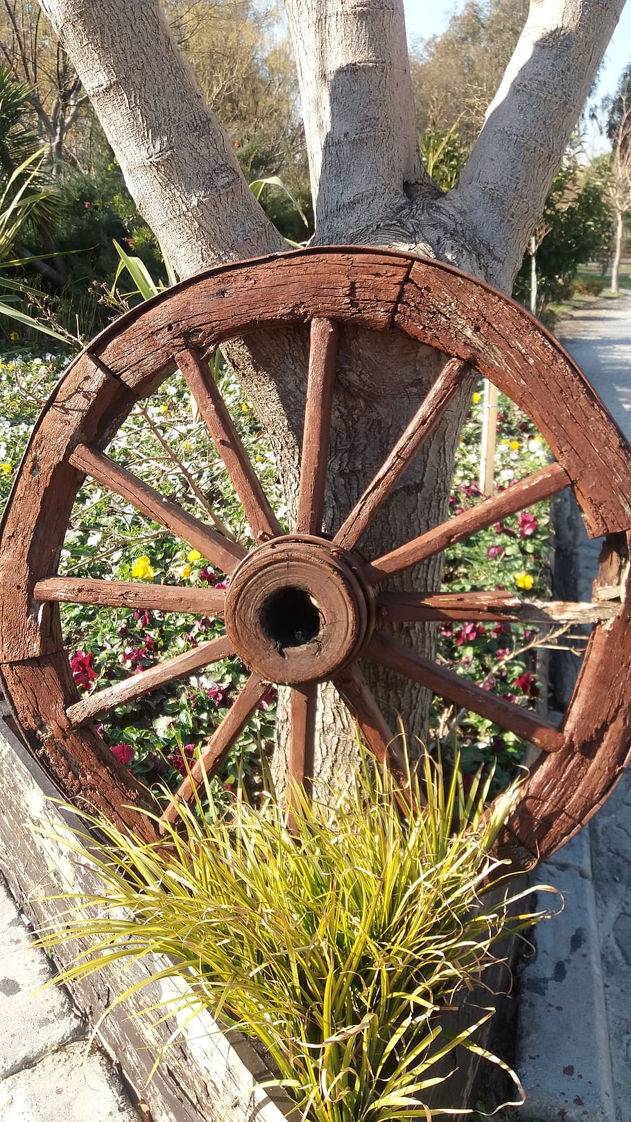 Hd Wallpaper Wheel Decor Landscape Plant Wood Material Day