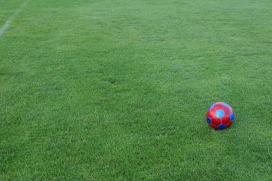 red and blue soccer ball, football, sports ground, football pitch, HD wallpaper