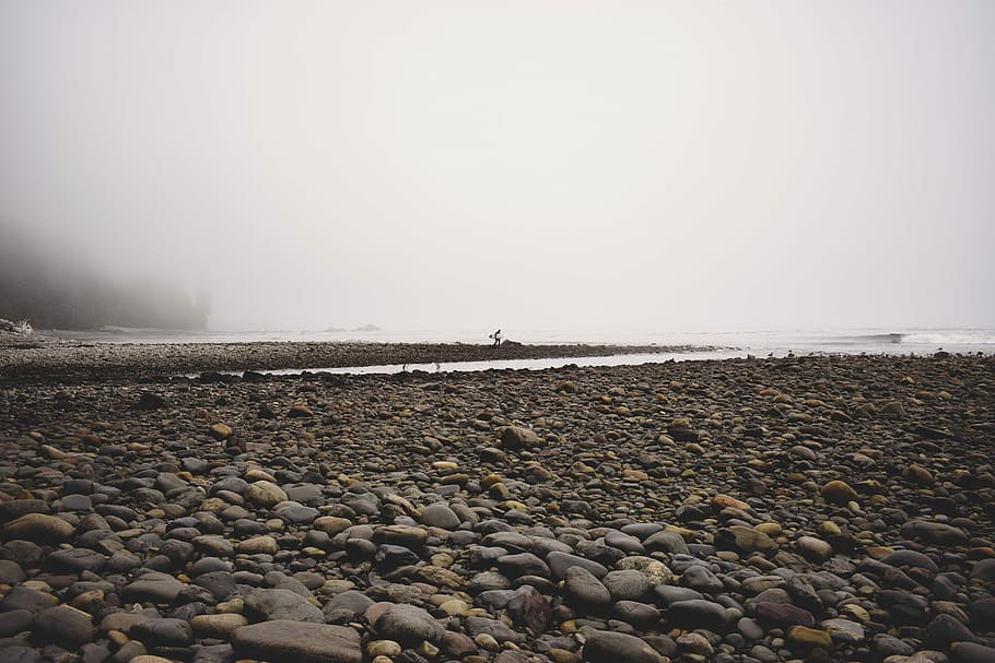 brown rocky shoreline at daytime, gray stone pebbles during daytiem HD wallpaper