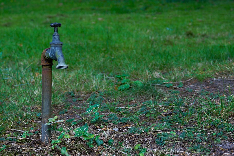 faucet, grass, water, drought, green, lonely, pointless, drinking HD wallpaper