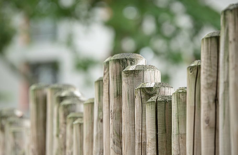 depth of field photography of bamboo stick fence, wood fence