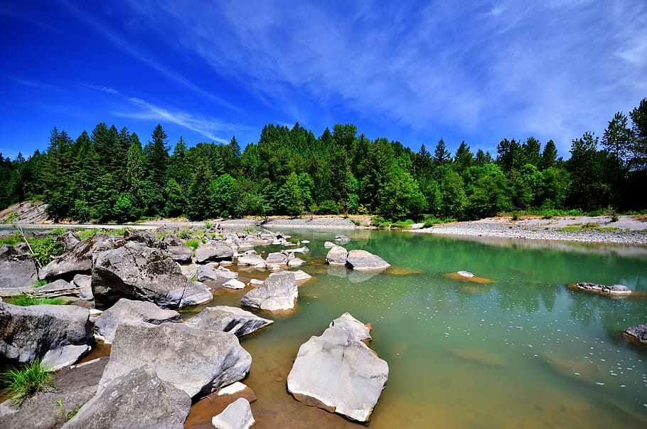 river, rocks, water, trees, nature, landscape, stream, outdoor HD wallpaper
