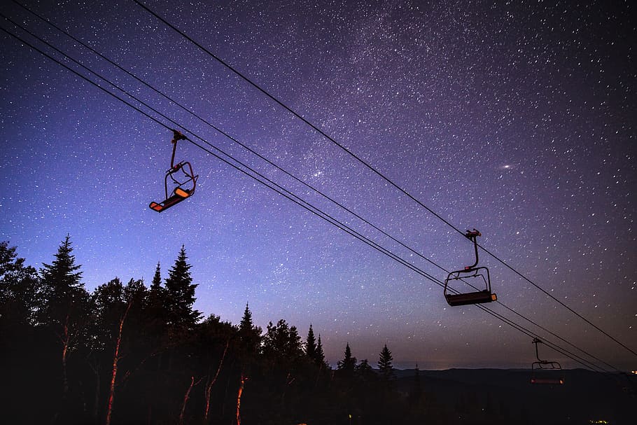 Staring at stars, night with stars photograph, tree, wire, cable HD wallpaper
