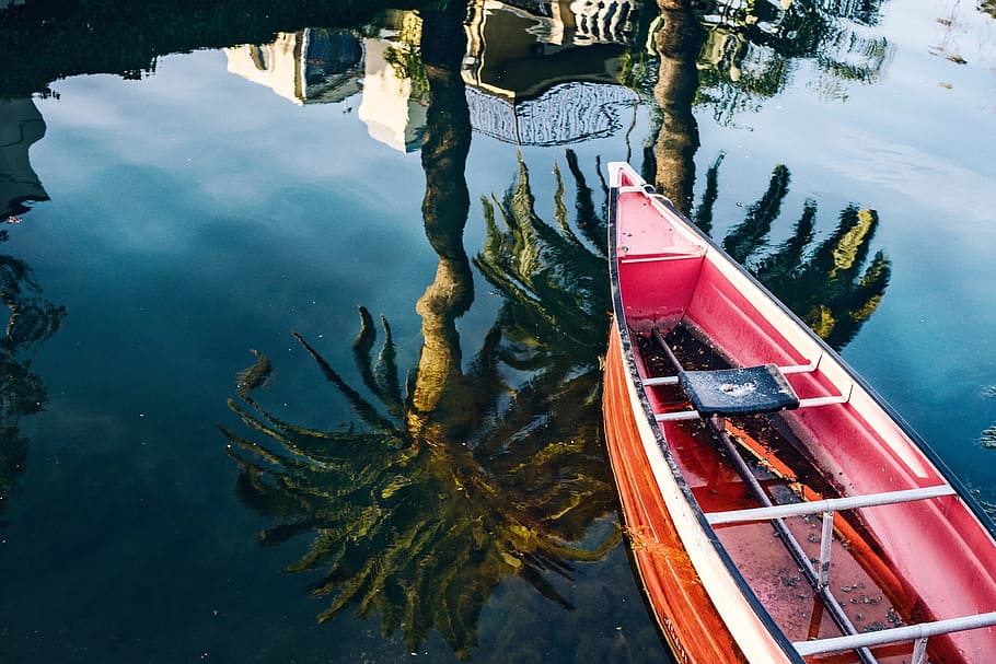 tree, plant, boat, blue, water, reflection, lake, nautical vessel HD wallpaper