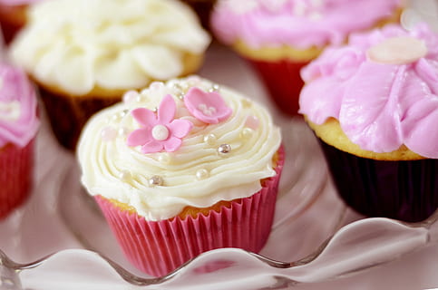 HD wallpaper: vanilla cupcakes, Treats, Bakery, White, cup cakes, delicious  | Wallpaper Flare