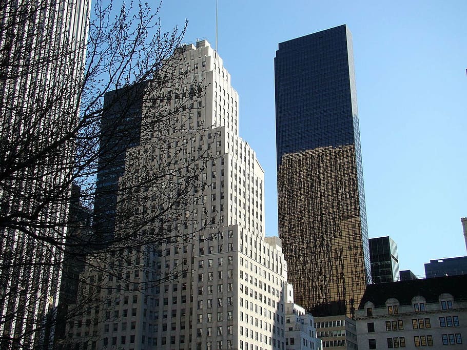glass, skyscraper, building, tree, reflection, structure, city HD wallpaper