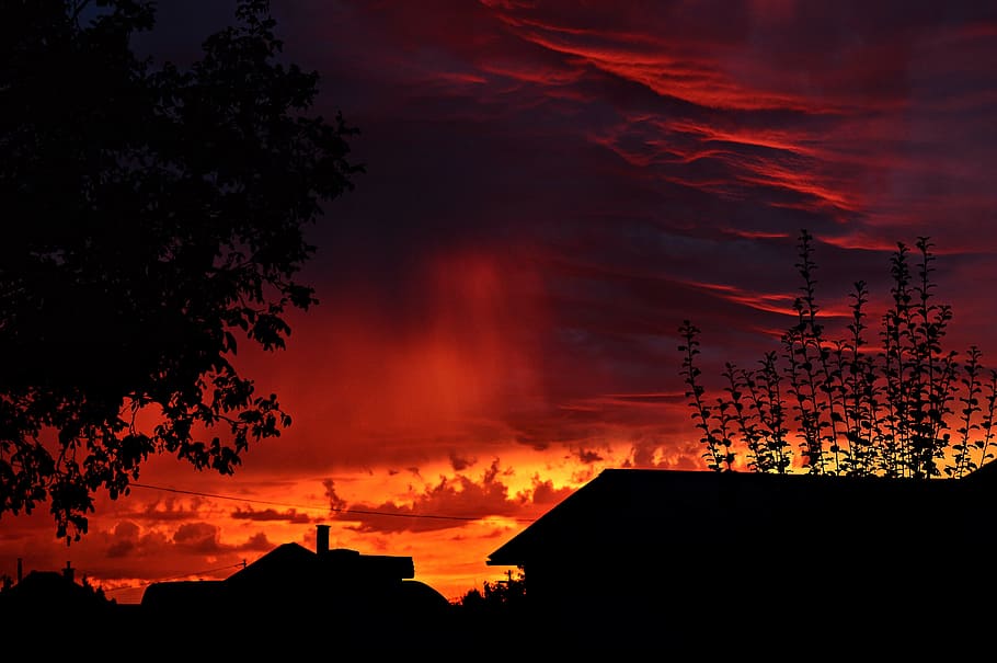 sunset, nightfall, dusk, o, mood, sky, silhouette, bough, orange HD wallpaper