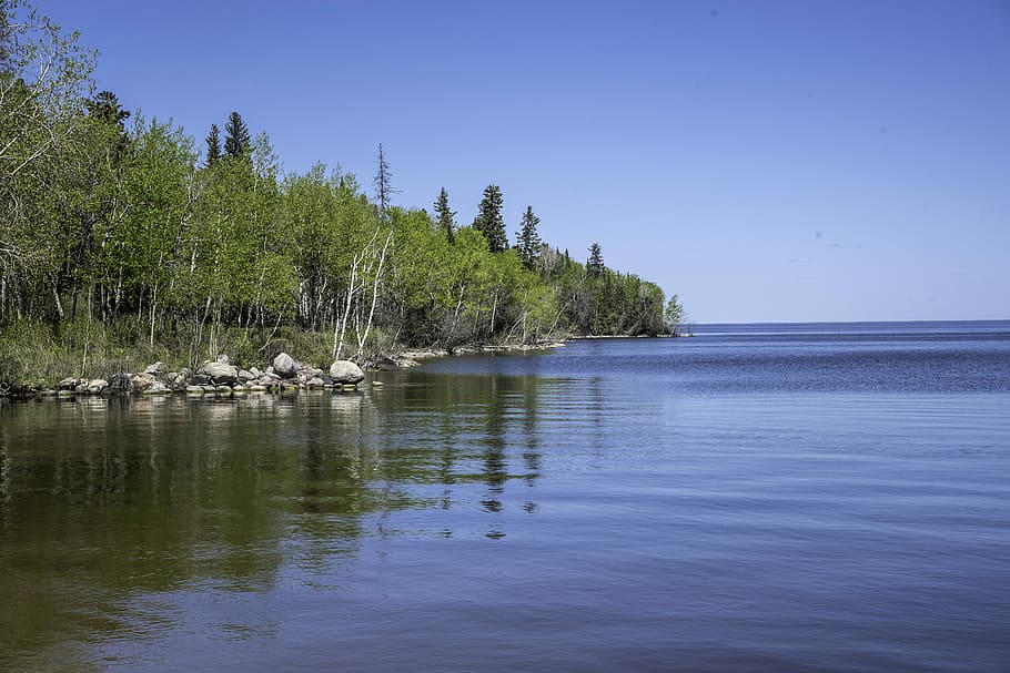 Scenery of the Lake Winnipeg Shoreline with trees at Hecla Provincial Park, HD wallpaper