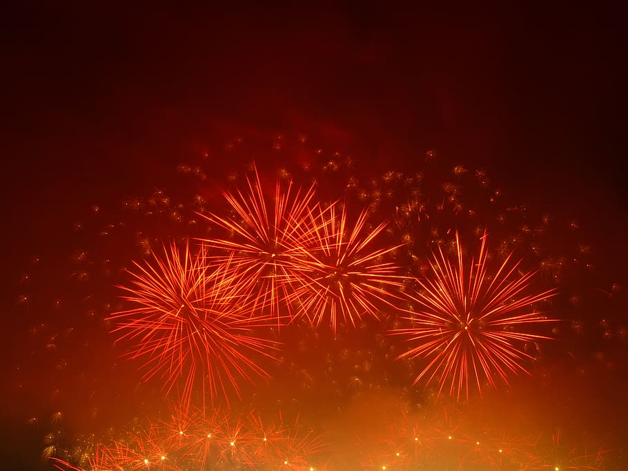 fire works display, fireworks, pyrotechnics, celebration, night, HD wallpaper