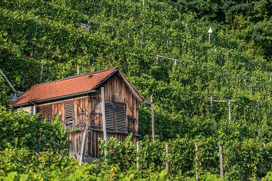 vineyard, ludwigsburg germany, hut, vacation, scale, log cabin, HD wallpaper