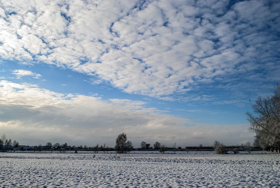 winter, snow, sky, tree, biel, landscape, field, nature, cloud - sky HD wallpaper