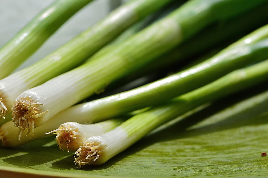green vegetables on green leaf, spring onions, leek, delicious, HD wallpaper
