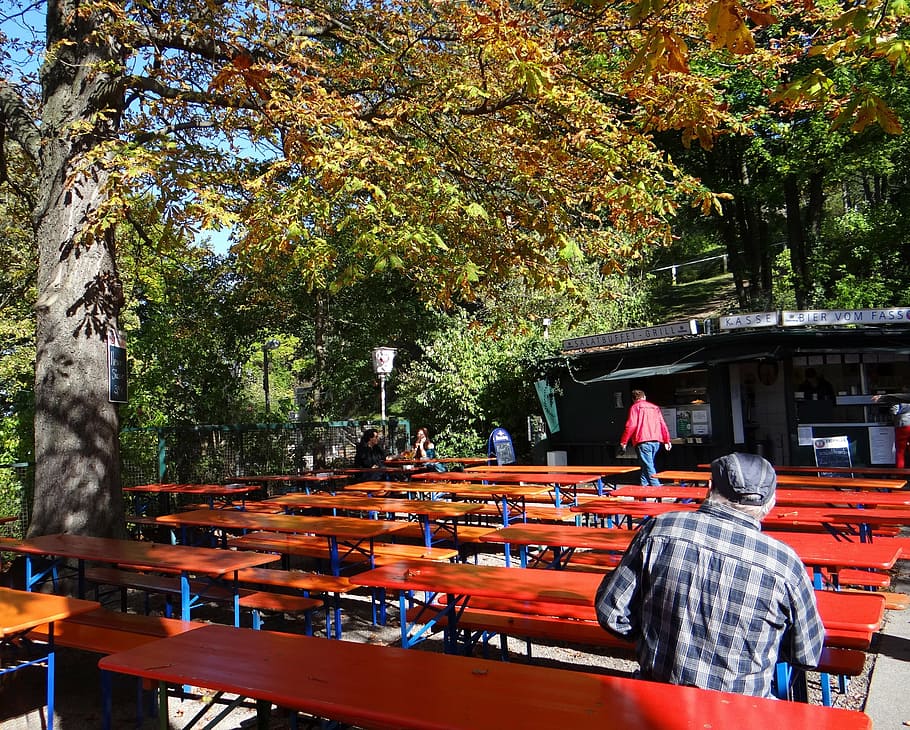 beer garden, biertische, bierbaenke, dining tables, benches, HD wallpaper