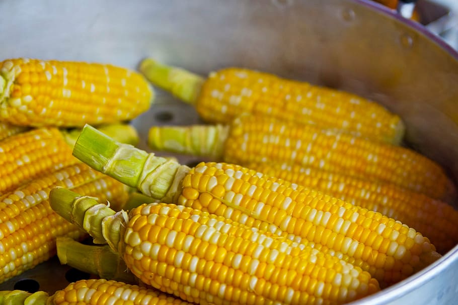 bunch of yellow corn inside grey container, pop corn, popcorn HD wallpaper