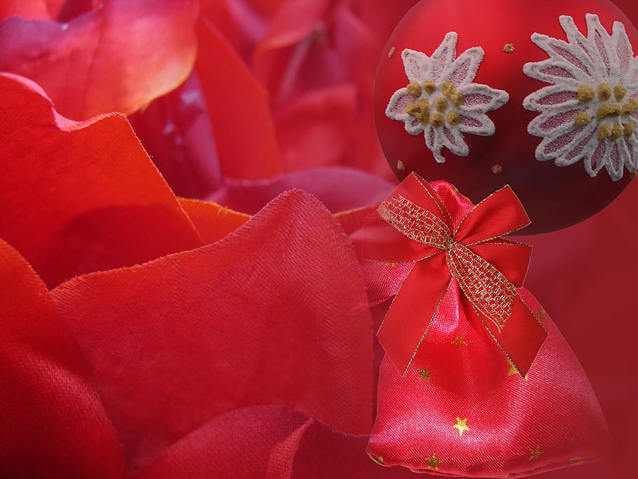 Decoration, Christmas, Background, red, poinsettia, full frame HD wallpaper