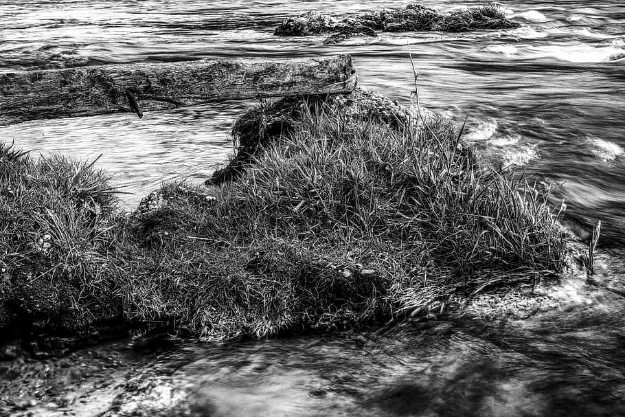 dramatic, water, grass, grasses, nature, bank, nature reserve HD wallpaper