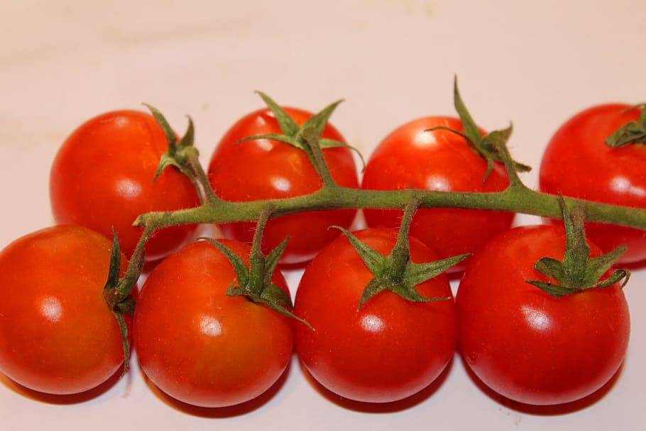 Trusses, Tomato, Vegetables, Vegan, red, vegetarian, food, freshness HD wallpaper