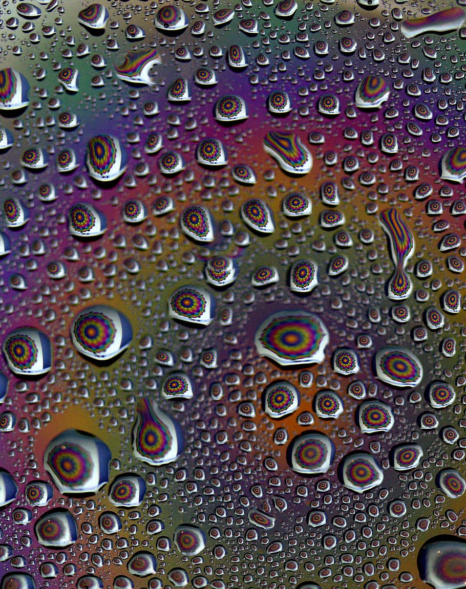 drops, reflection, water, rain, full frame, backgrounds, close-up HD wallpaper