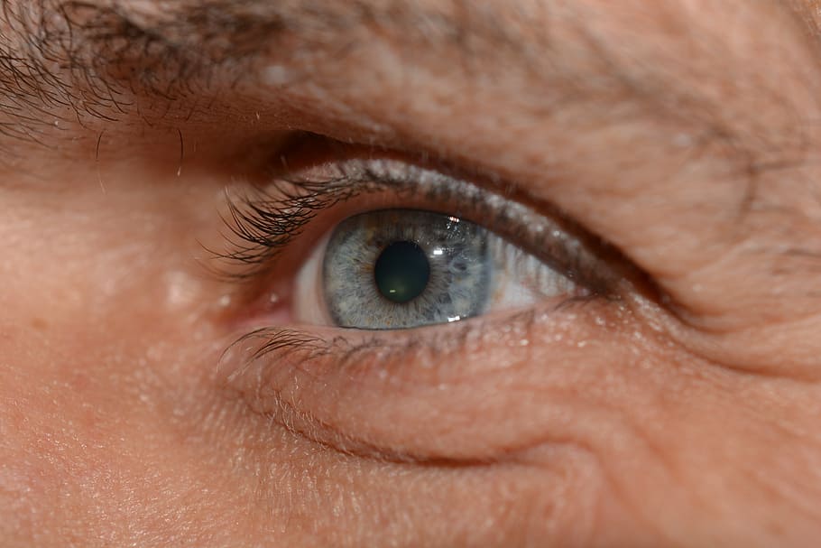 eye, eyelashes, iris, pupil, macro, close, head, blue, human HD wallpaper