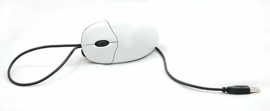 black and white corded computer mouse, equipment, computers HD wallpaper