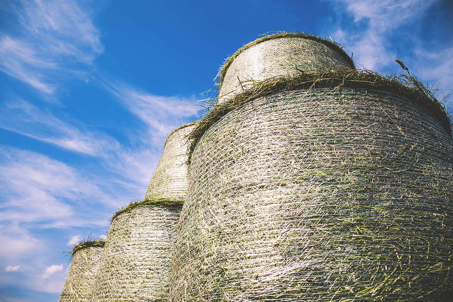 brown haystacks photography, worms eye view of five hays, hay bale HD wallpaper