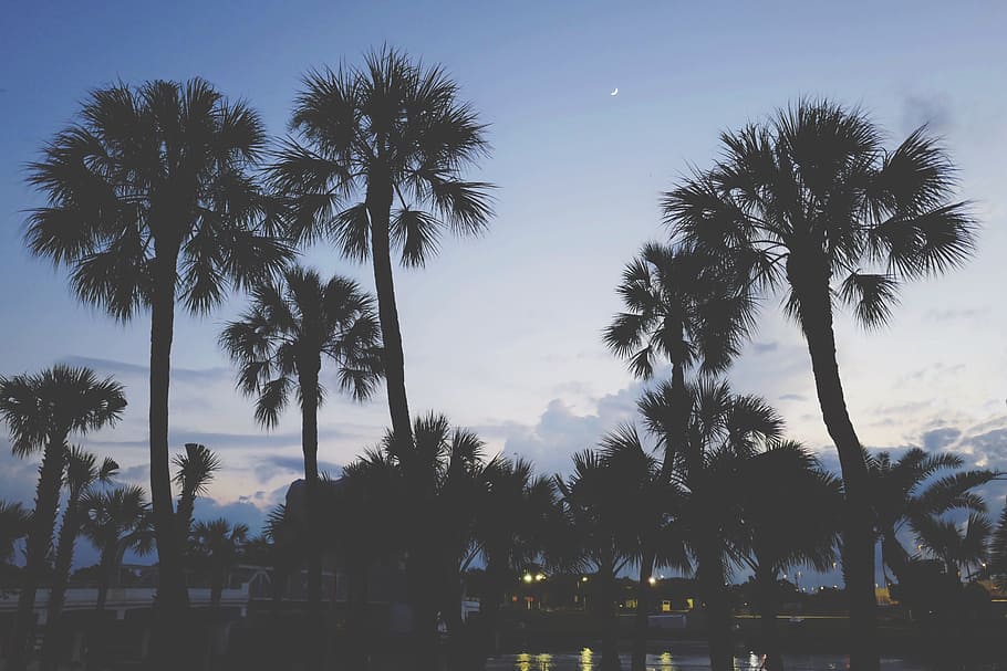 dark, sky, clouds, nature, trees, plants, resort, water, reflection HD wallpaper