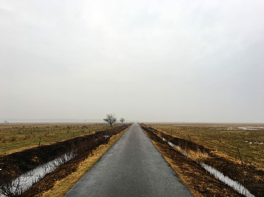 Kalvebod Fælled, farm road, path, ahead, journey, field, direction