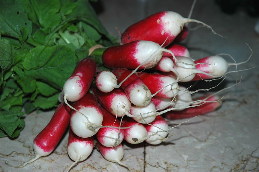 Plant, Vegetables, Radish, food and drink, red, freshness, healthy eating HD wallpaper