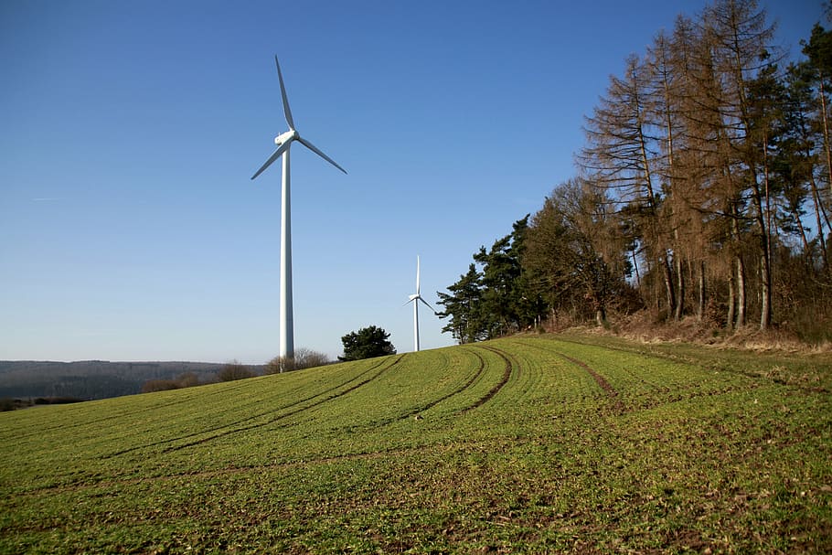windmill beside trees, pinwheel, current, wind power, energy HD wallpaper