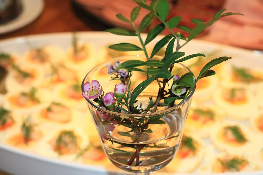 Eggs, Dill, Vase, Cherry Blossom, leaf, flower, no people, indoors HD wallpaper