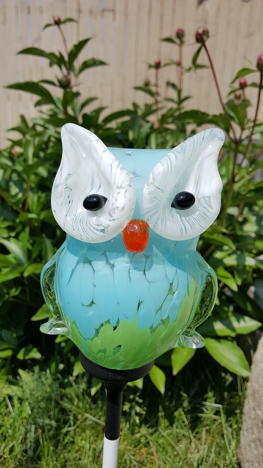 owl, sun, glass, representation, no people, plant, celebration HD wallpaper