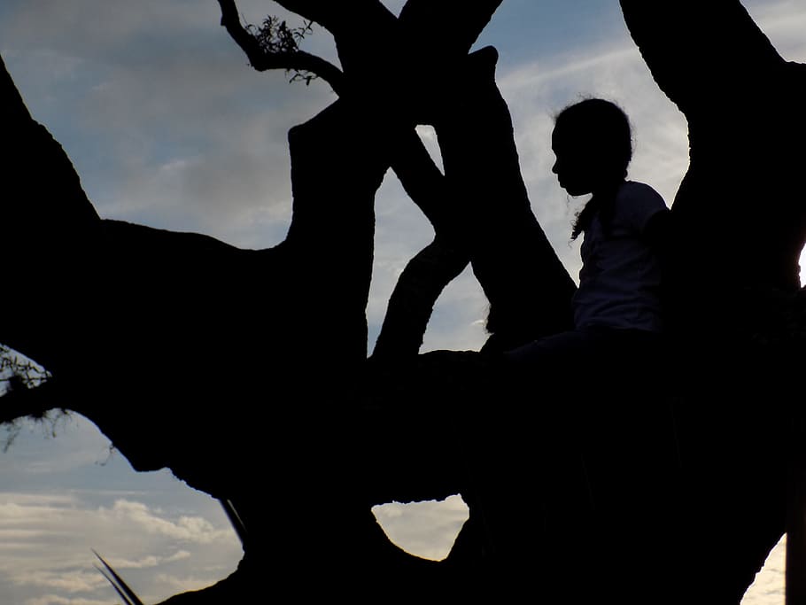 Thinking, Tree, Sunset, Inspiration, intelligence, people, nature HD wallpaper