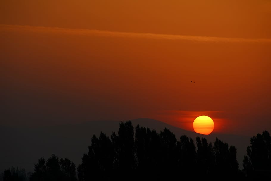 sun, sunset, nature, sky, sunset sky, silhouette, scenics, orange color HD wallpaper
