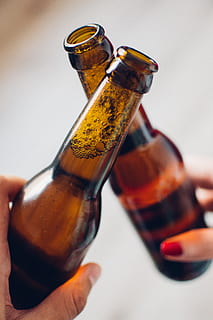 persons holding brown glass bottles, beer, toast, drinks, beer bottle HD wallpaper