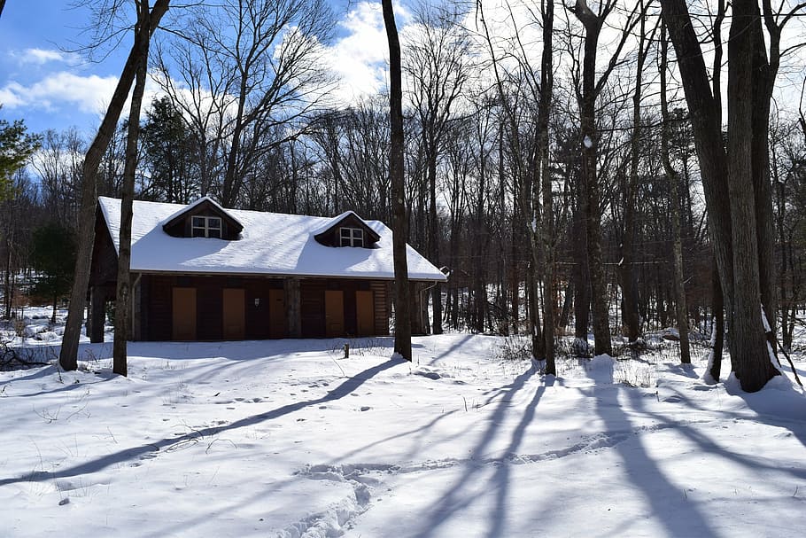 cabin, snow, winter, white, shadow, trees, nature, sky, blue HD wallpaper