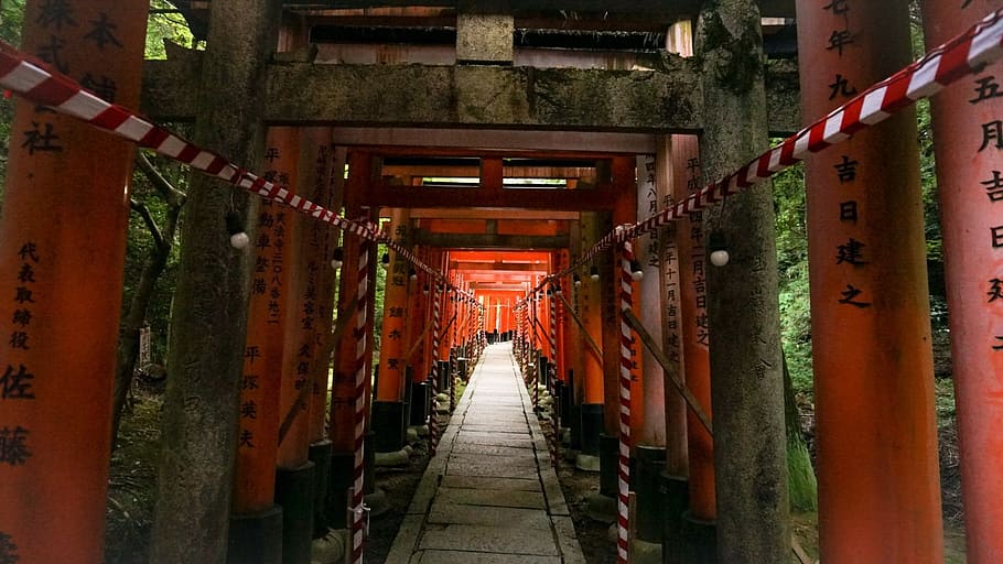 torii, light, dusky, at the end, japan, the way forward, architecture