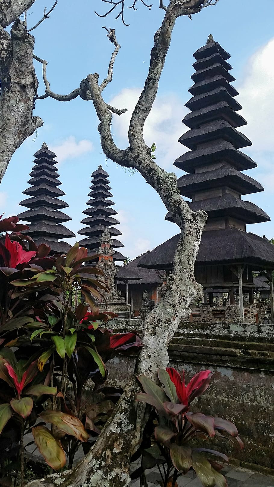 architecture, bali, taman ayun, temple, built structure, plant, HD wallpaper