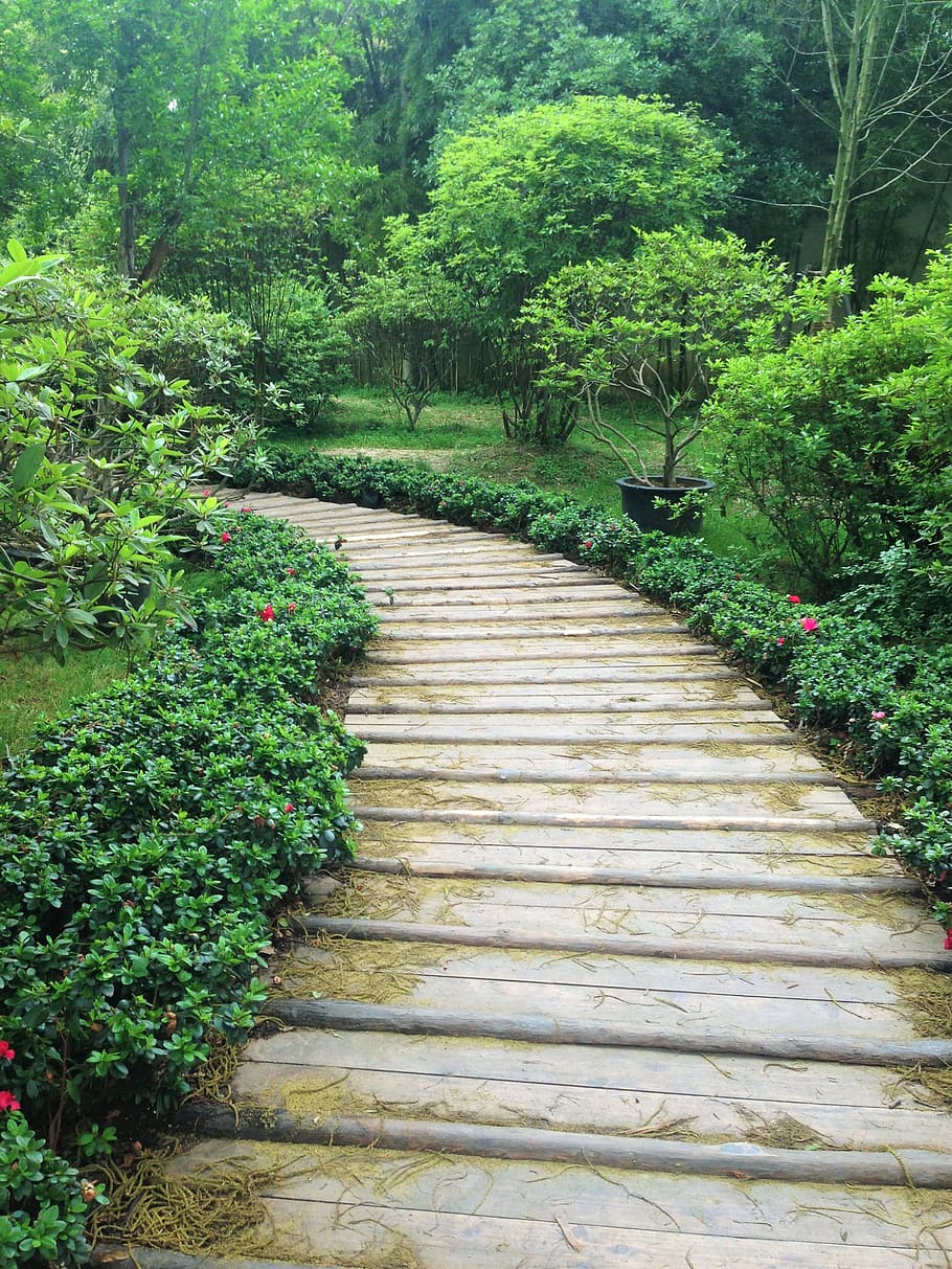 Path, Garden, Landscape, Park, Trail, nature, china, footpath HD wallpaper