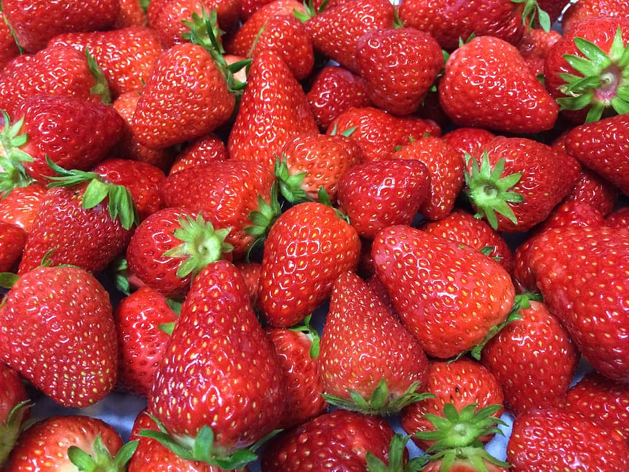 strawberry, fruit, vitamin c, red, berry fruit, food, healthy eating HD wallpaper