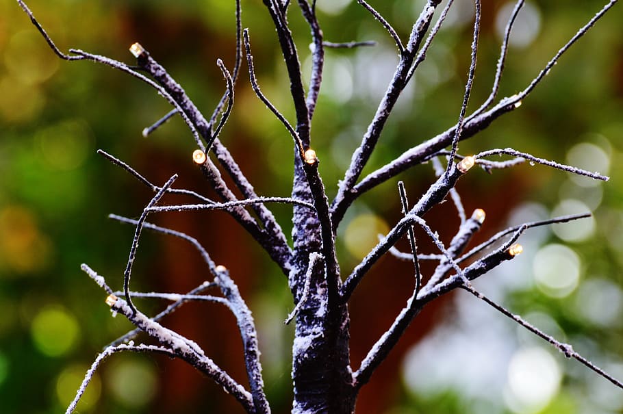 Tree, Aesthetic, Winter, Snow, Lighting, deco, branches, nature HD wallpaper