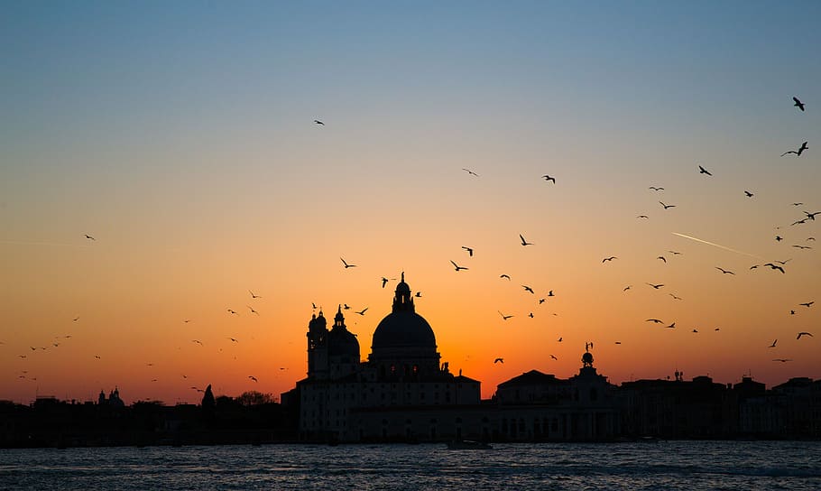 silhouette of Maiden's Tower, birds flying over cathedral during golden hour HD wallpaper