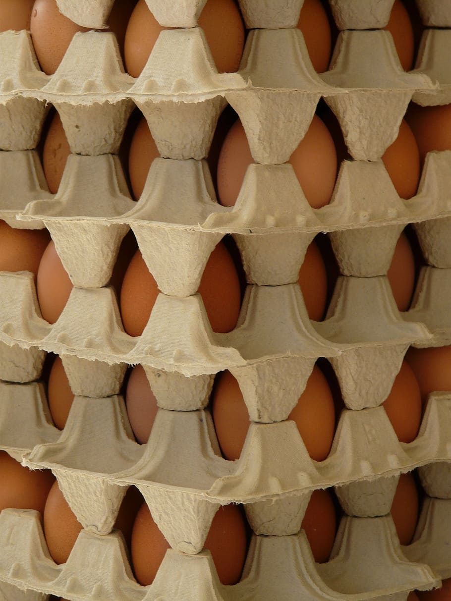 egg, egg box, food, backgrounds, brown, pattern, full frame HD wallpaper